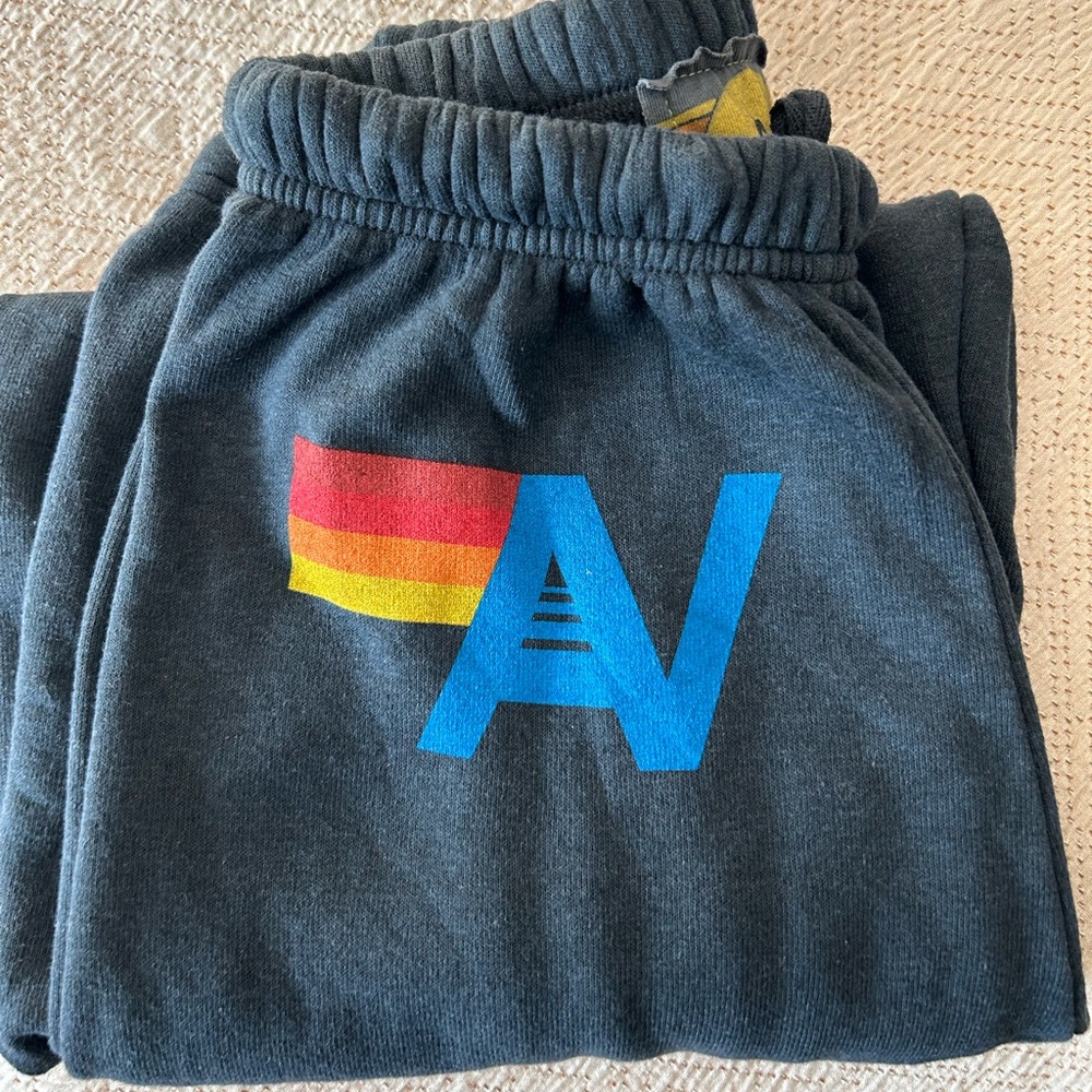 Brand new, never worn Aviator Nation sweatpants in Charcoal Gray. Size XS.